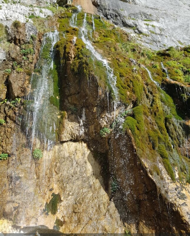 Пшехский водопад - Tata Wolf