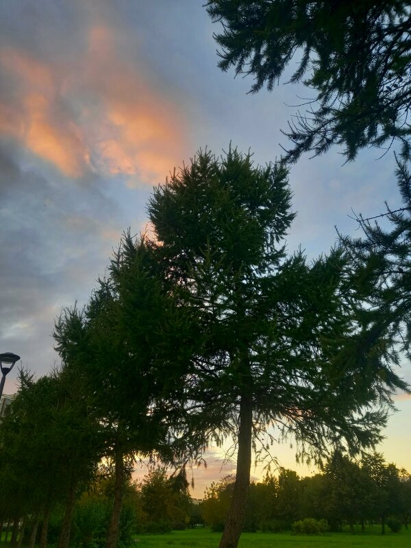 Закат - Сапсан 