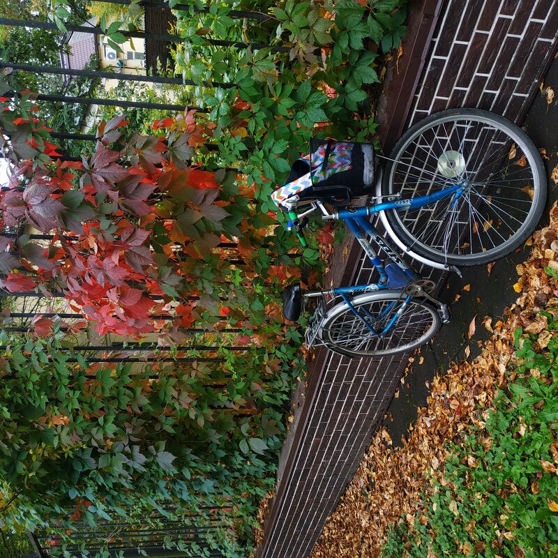 Есть 2500 км в сезоне! - Андрей Лукьянов