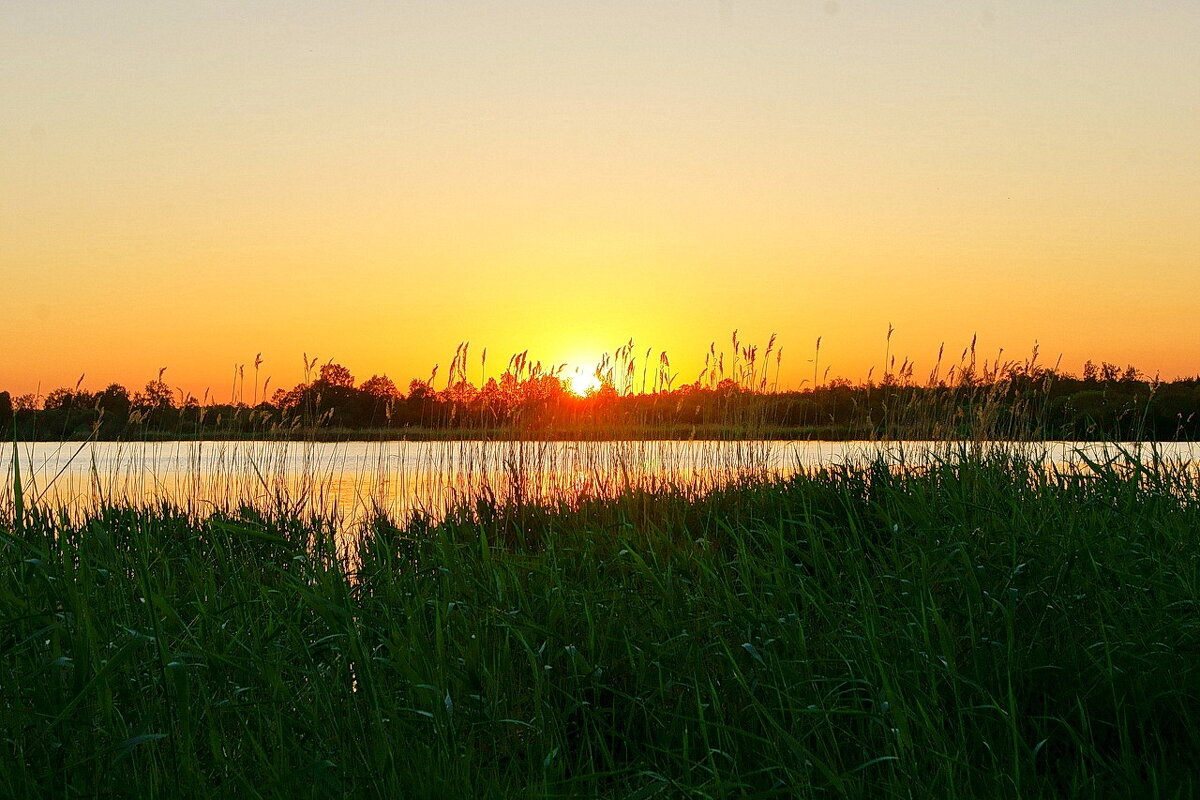 Солнце 9 - Игорь Тельцов