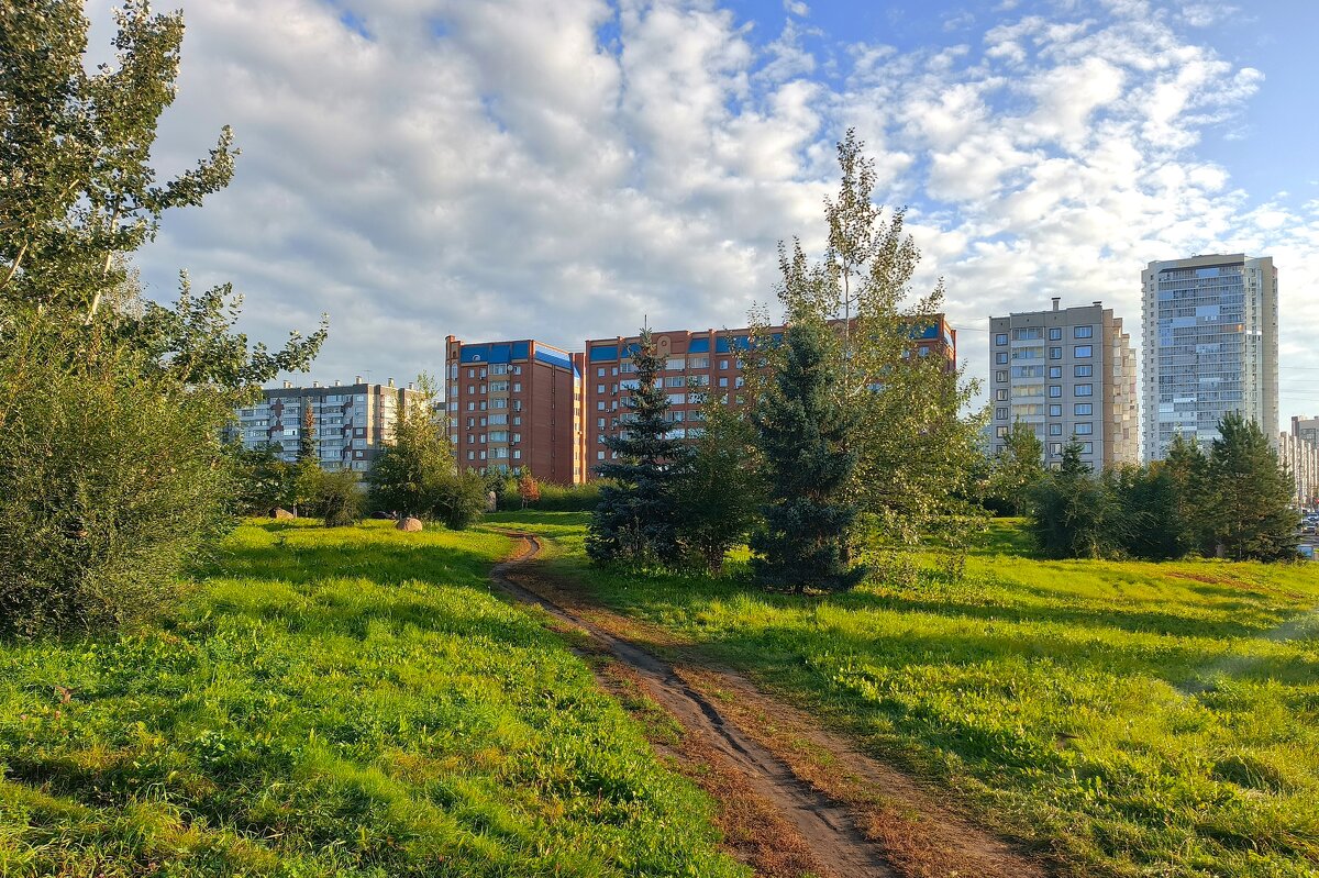 Дорога к дому - Василий 