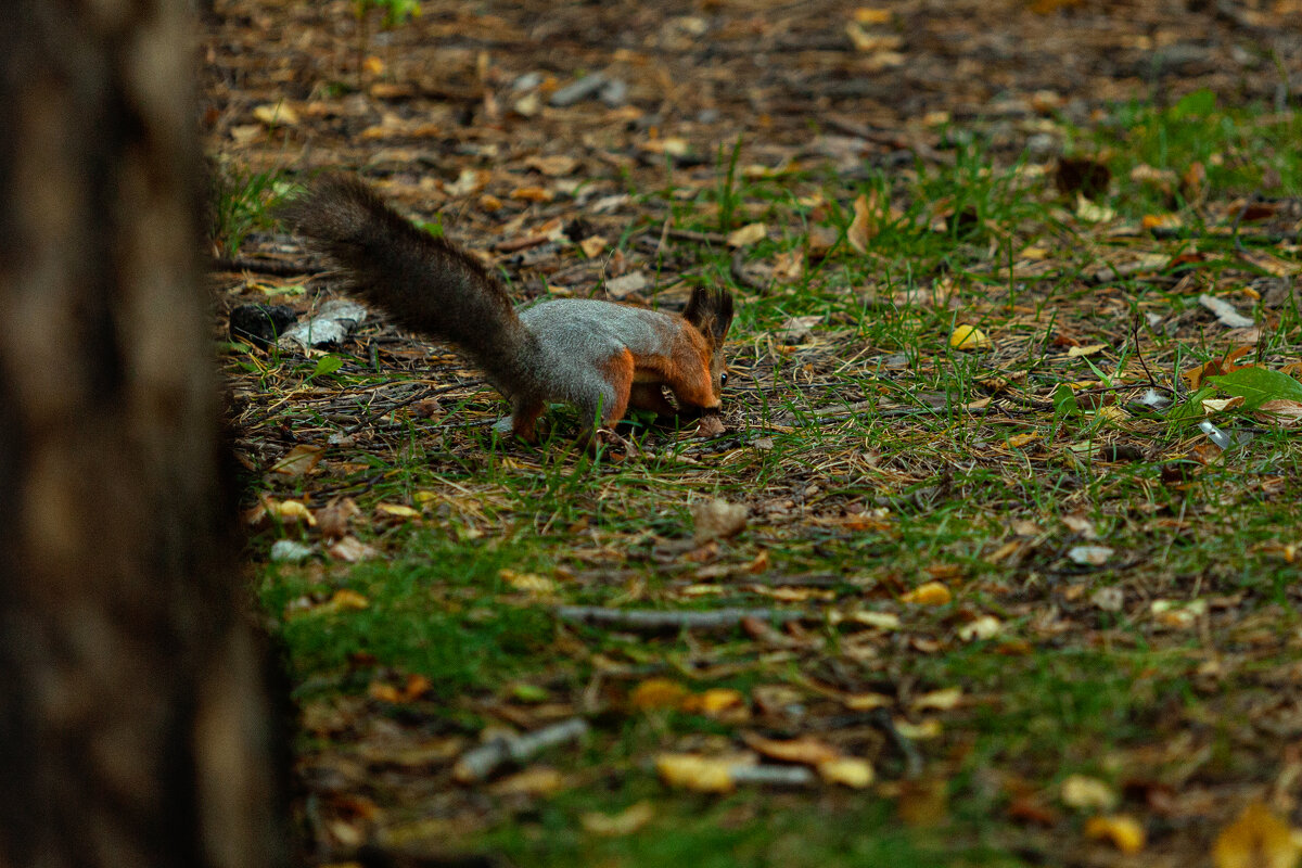 и что тут зарыто ? - Denis Doroshenko