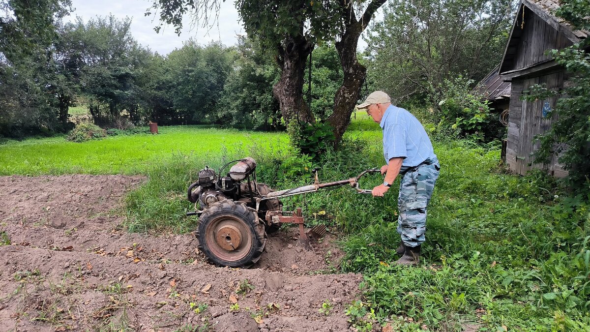 Осенние работы. - Ольга 