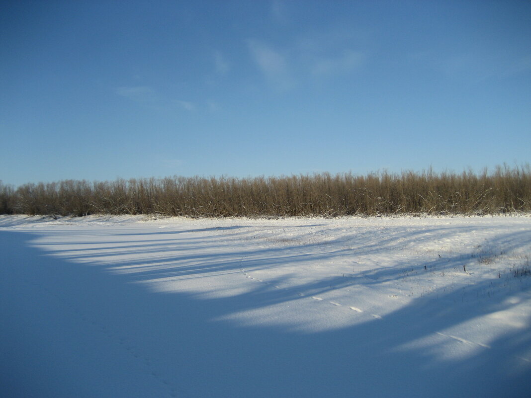 На острове - Anna Ivanova