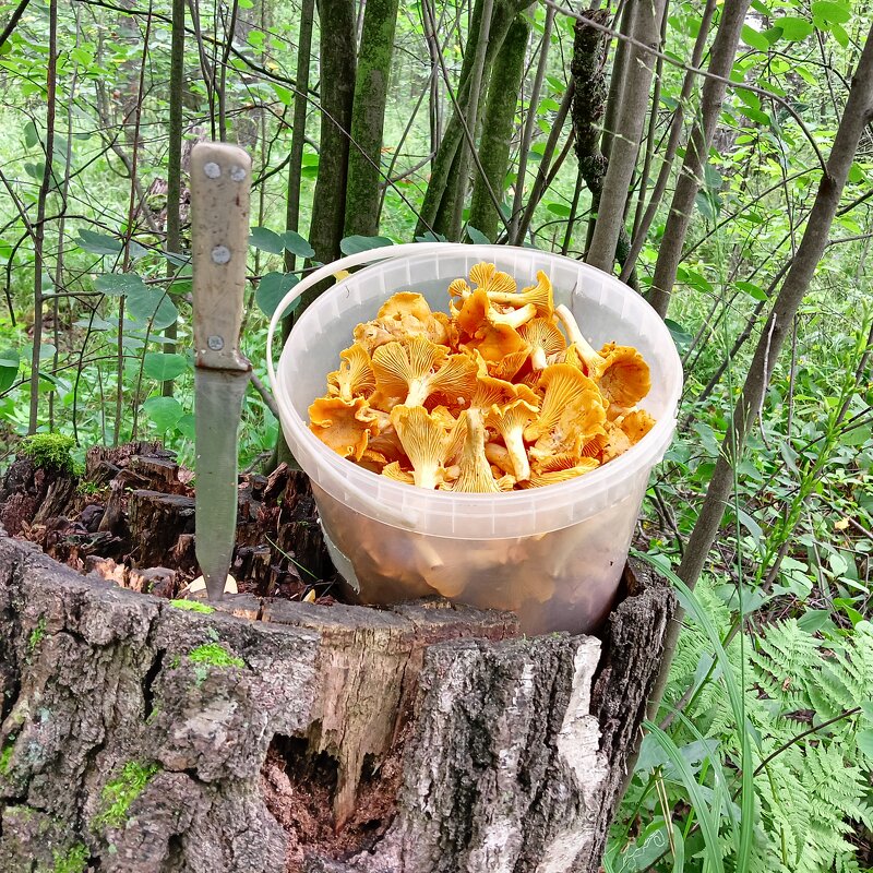 перекур - Владимир 