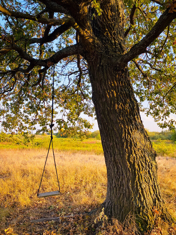 *** - Игорь Чичиль