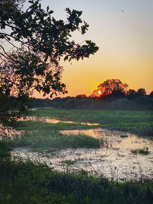 *** - Игорь Чичиль