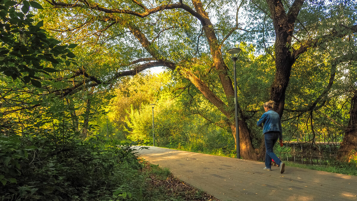 ***** - юрий поляков