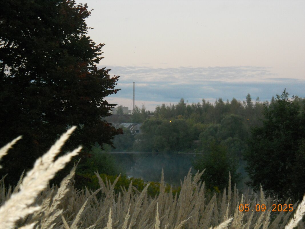 Туман на речке - fogmeadowww m