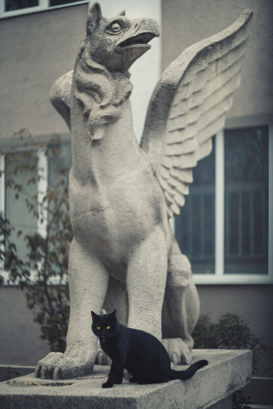 Стражи лапидария. - Анатолий Щербак