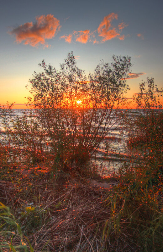 *** - Сергей Григорьев