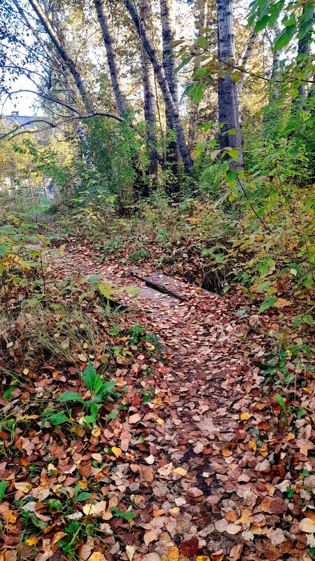 На мосточке осень . - Мила Бовкун