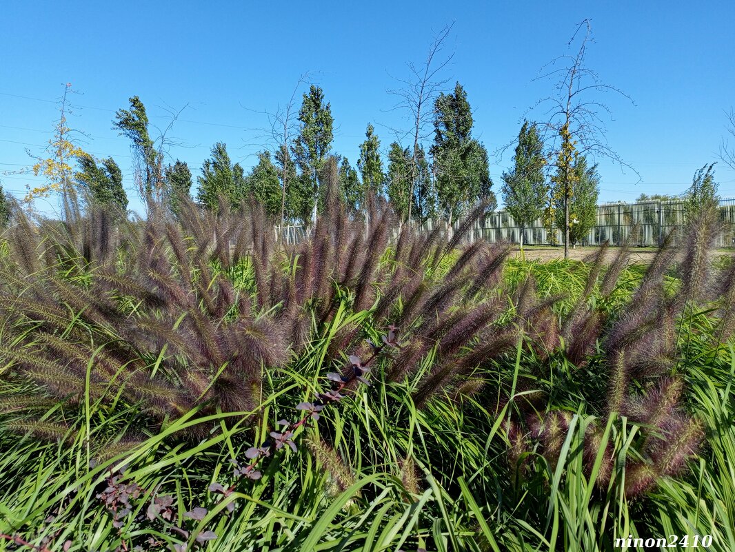 В ростовском экопарке Первая миля - Нина Бутко