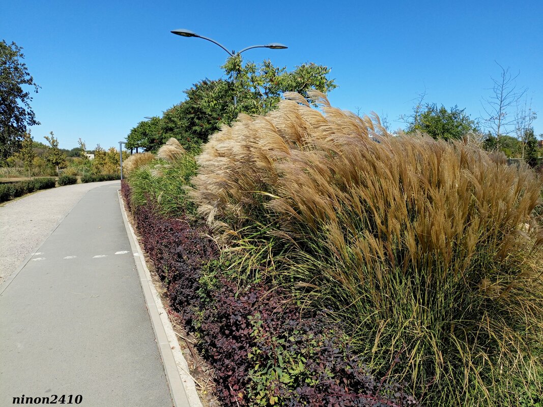 В ростовском экопарке Первая миля - Нина Бутко
