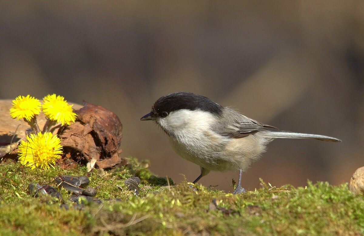 ... - Вячеслав Минаев
