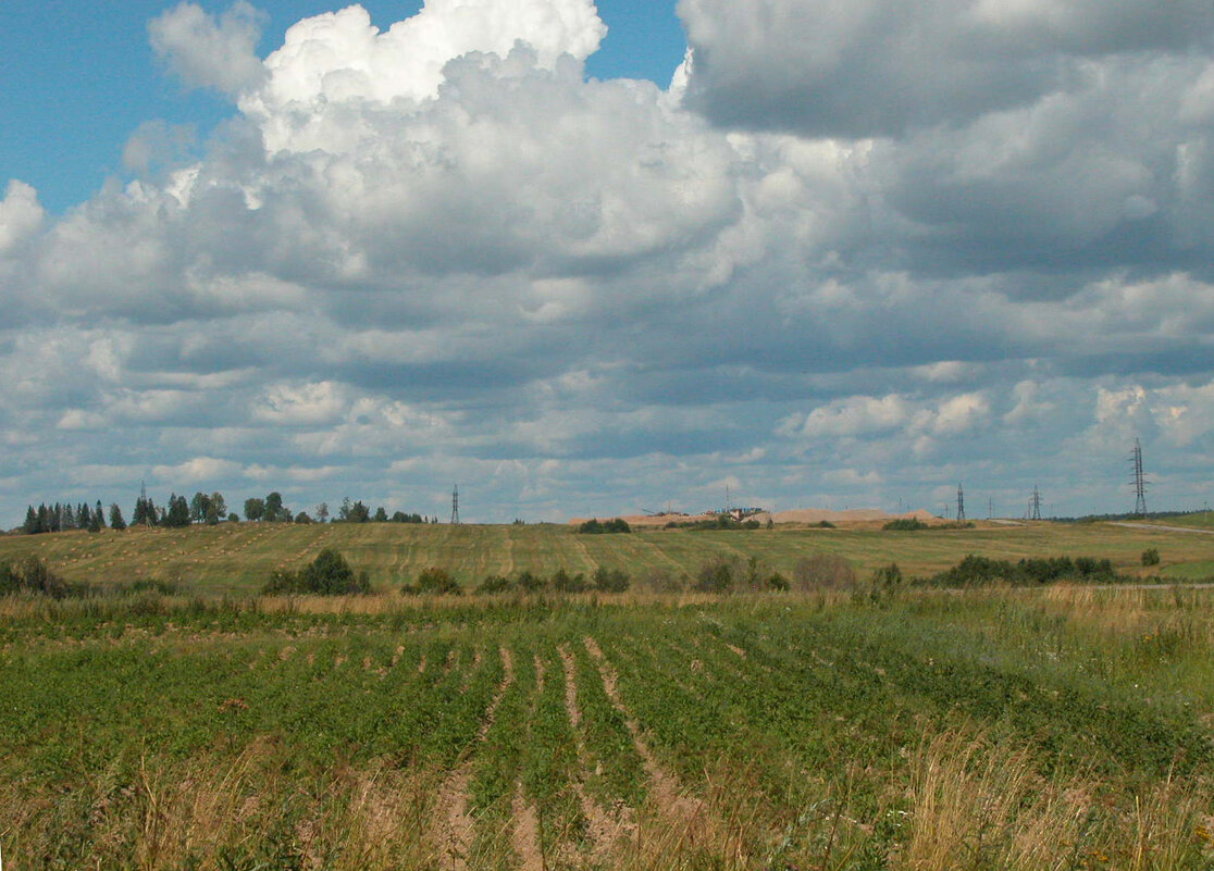Картофельные поля - Наталья Лунева Картофельные поля - Наталья Лунева