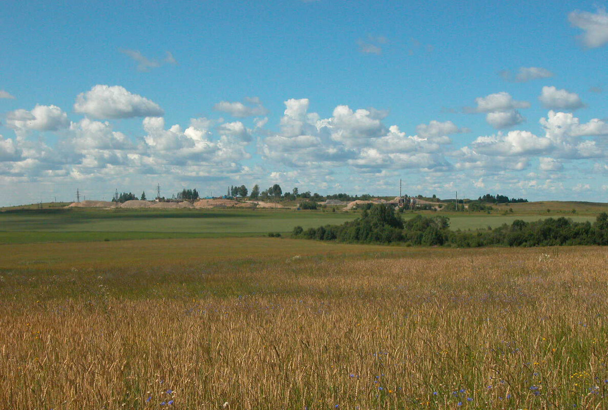 Просторы Вологодчины - Наталья Лунева 