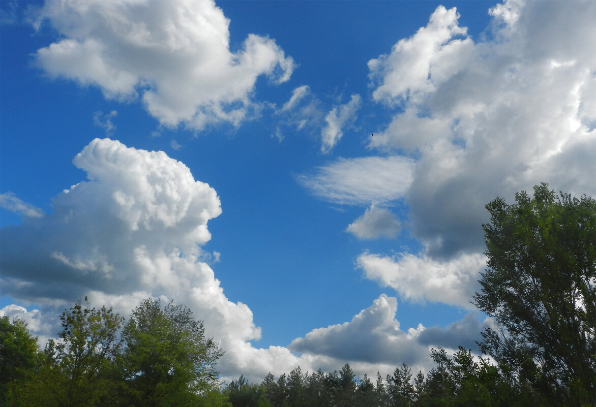 *** - Лера *** - Лера