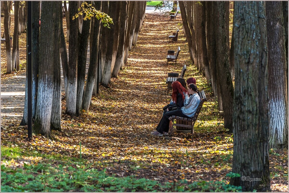 Осень в парке - Aquarius - Сергей