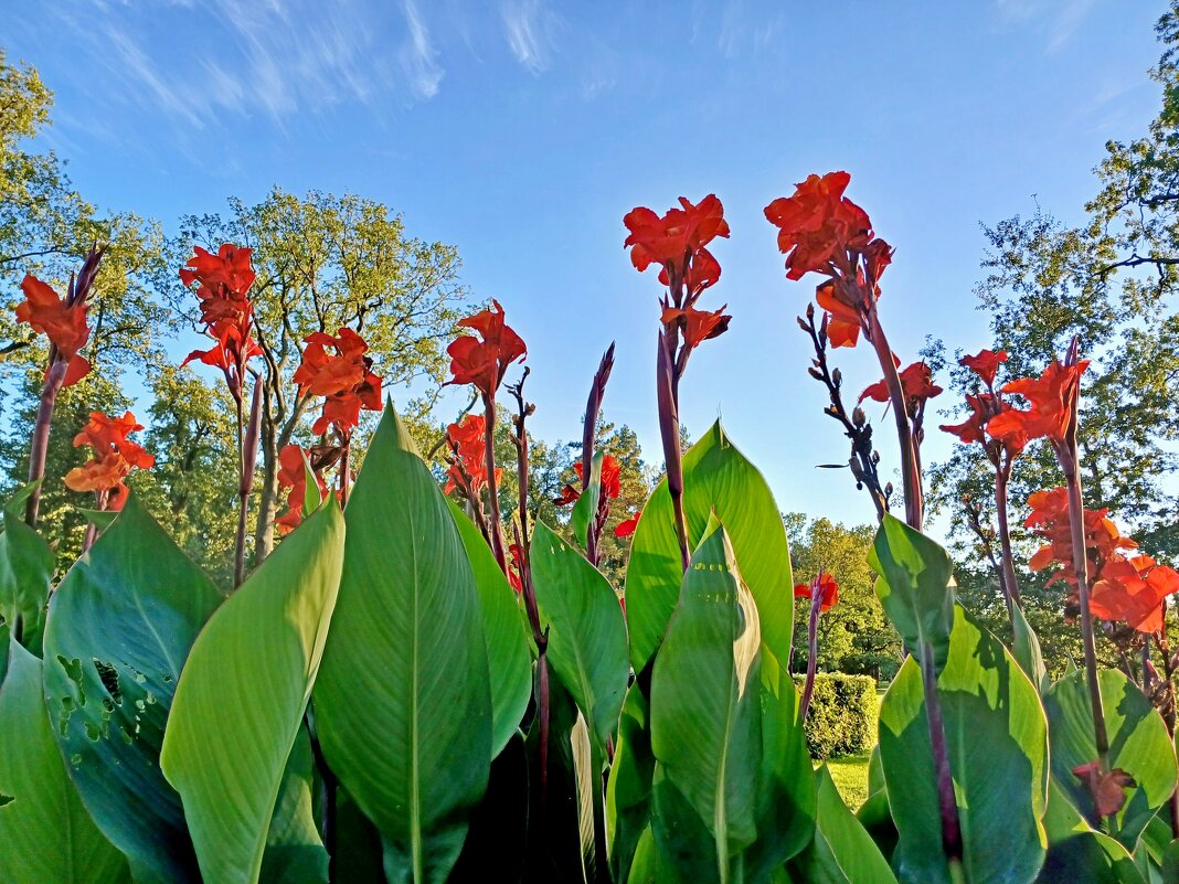 Канны. - Лия ☼ Канны. - Лия ☼