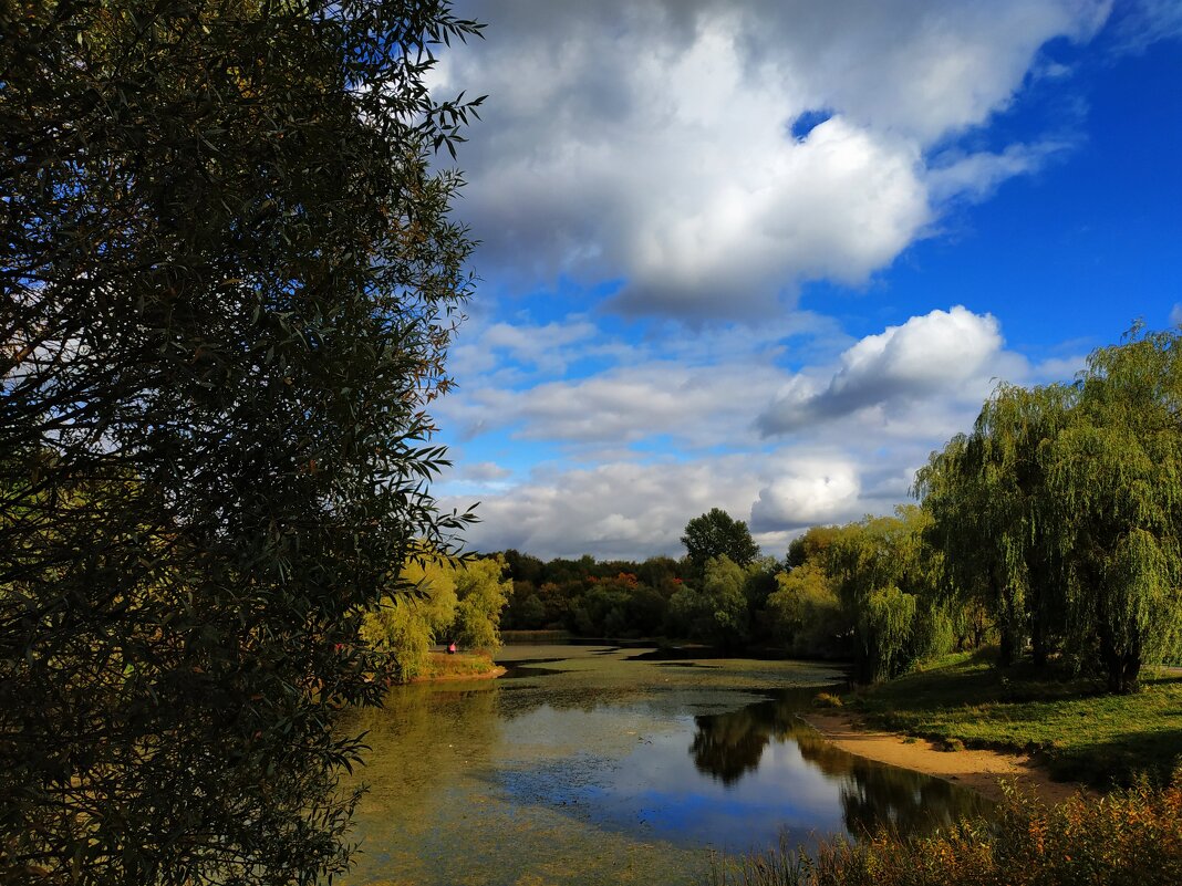 Почти лето - Андрей Лукьянов Почти лето - Андрей Лукьянов