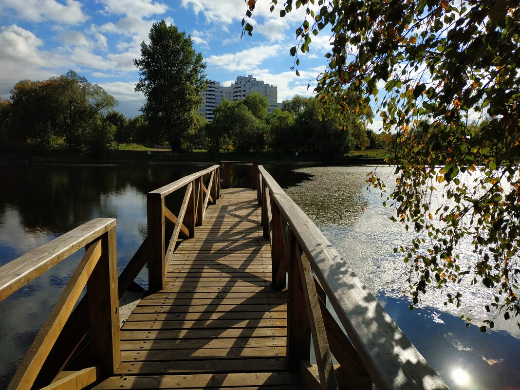 * * * - Андрей Лукьянов * * * - Андрей Лукьянов