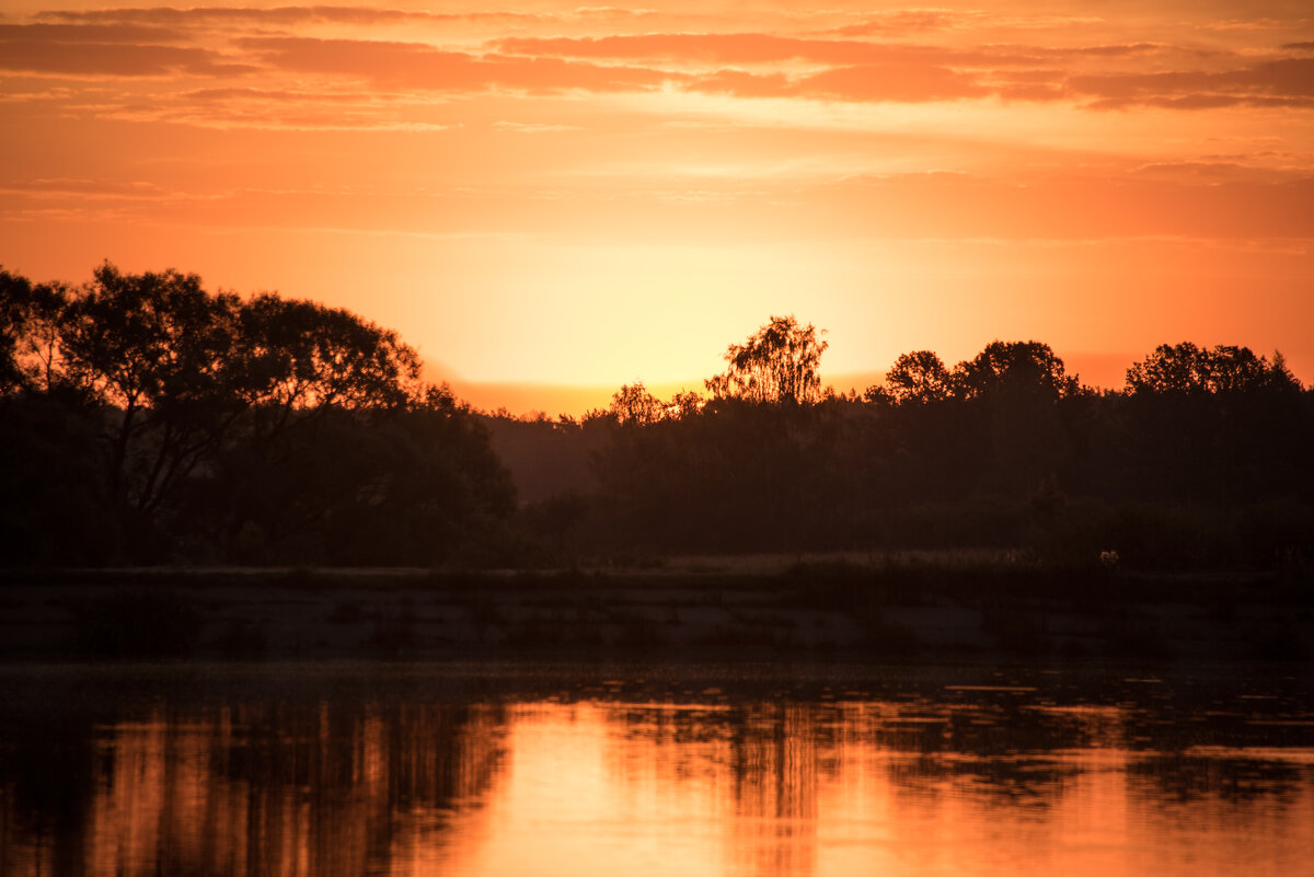 Восход. - Владимир Безбородов