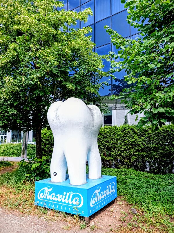 Вспомним лето ) - Veera V