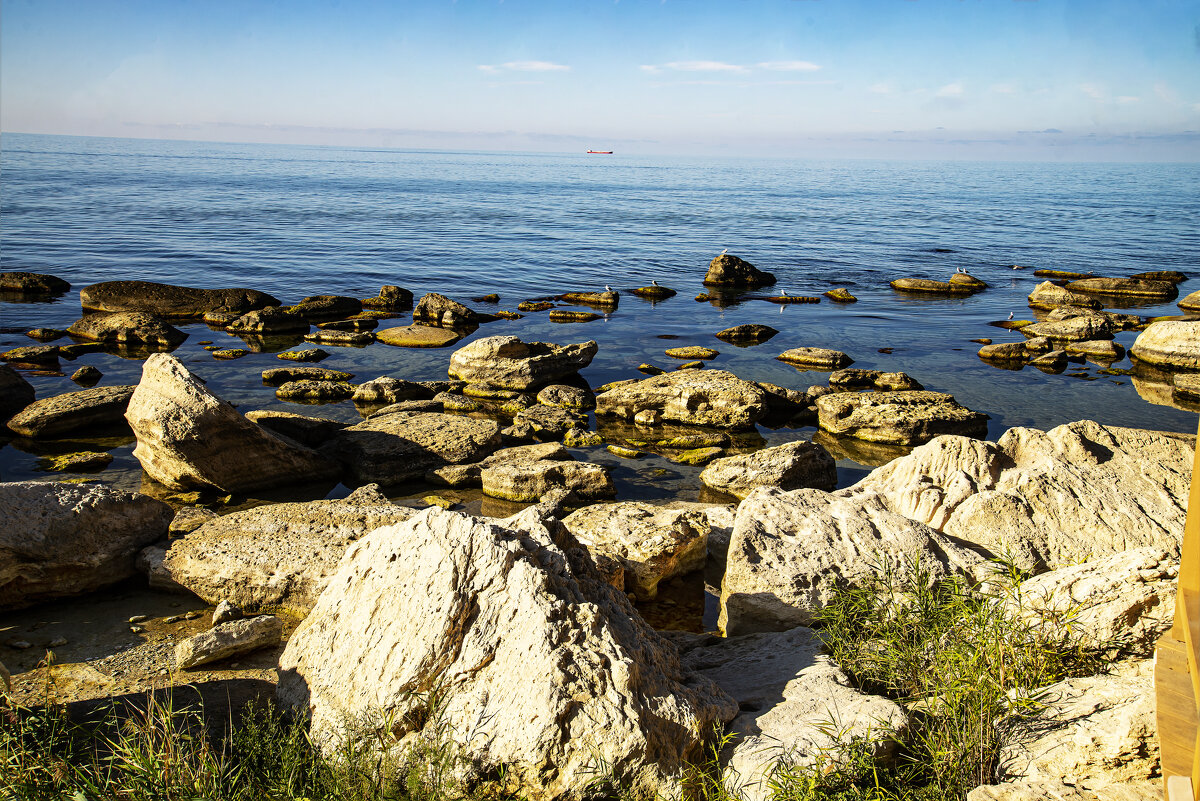 Берег - Анатолий Чикчирный