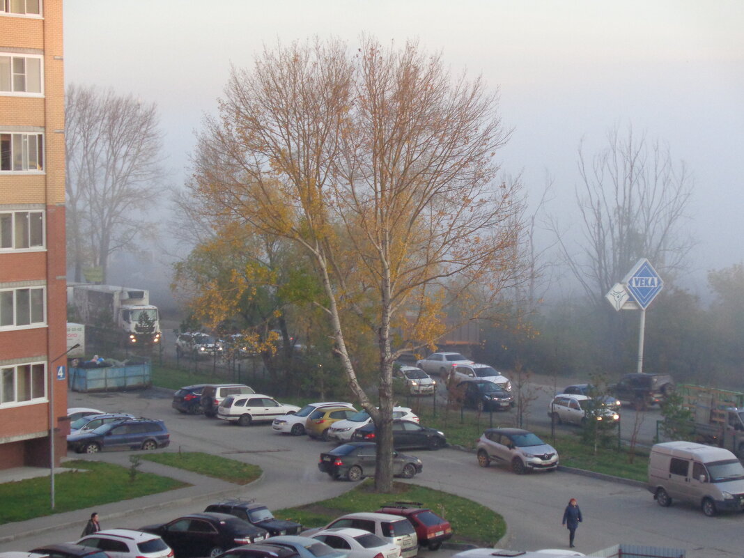 Тополь в листве - Андрей Макурин Тополь в листве - Андрей Макурин