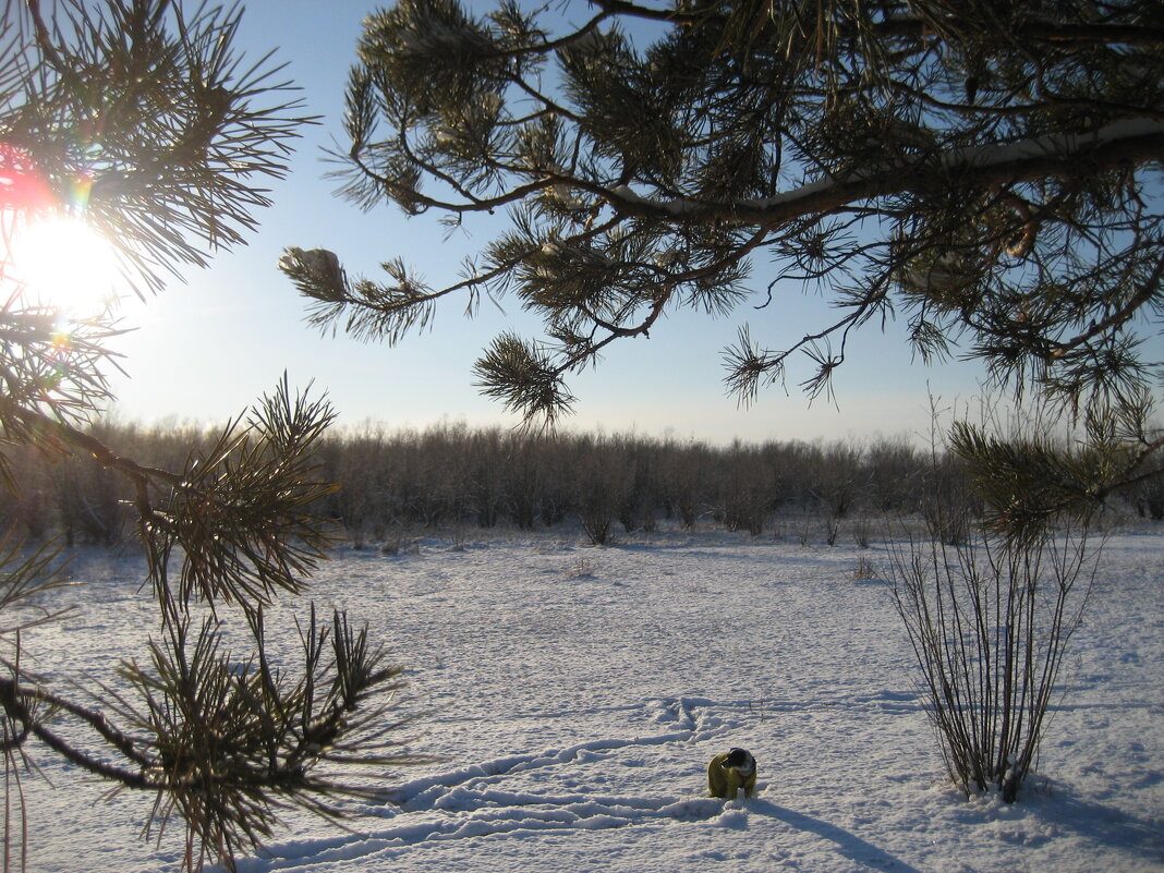 На острове - Anna Ivanova