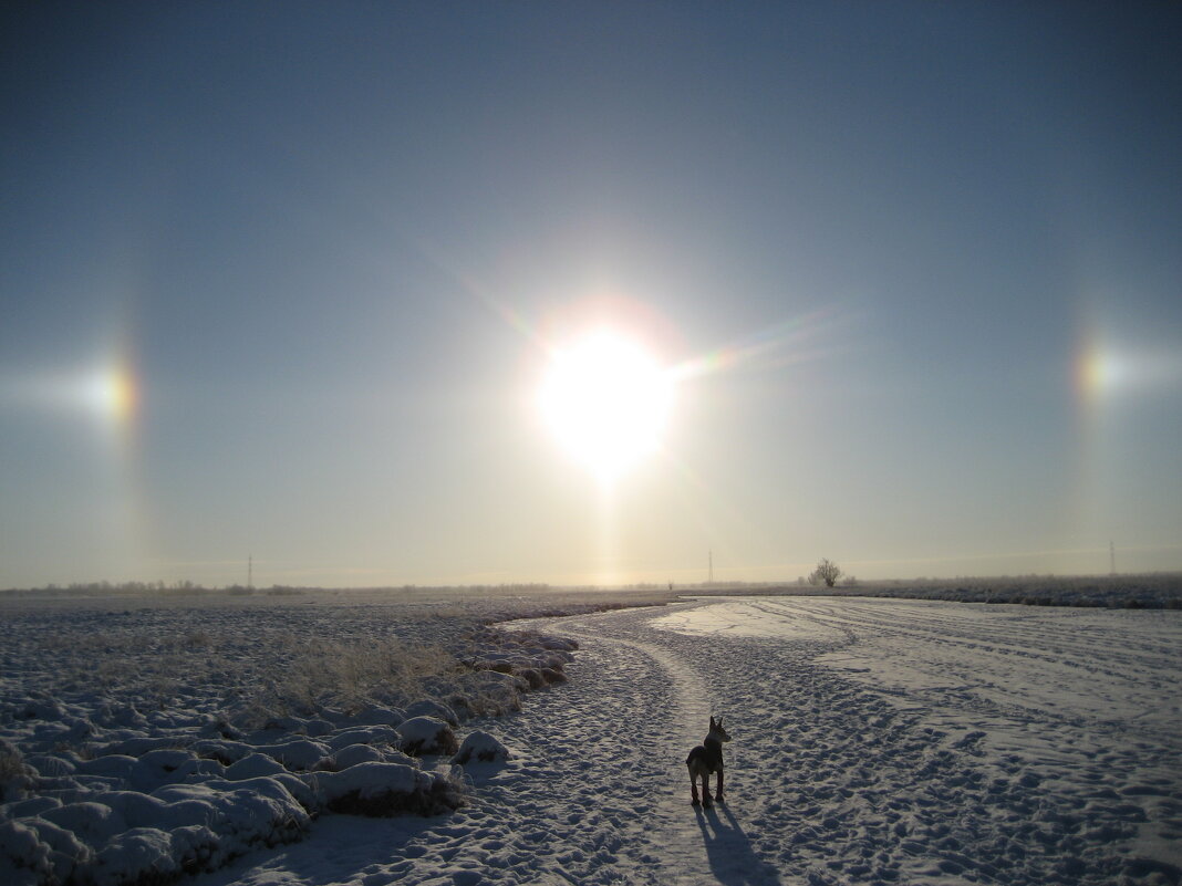 Утро - Anna Ivanova Утро - Anna Ivanova