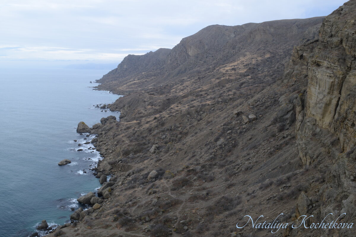Природа Крыма - Amazing Cosmea