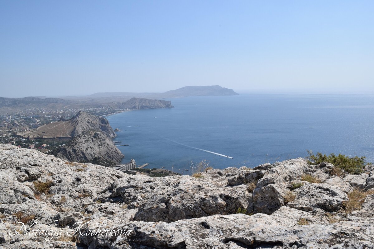 Природа Крыма - Amazing Cosmea