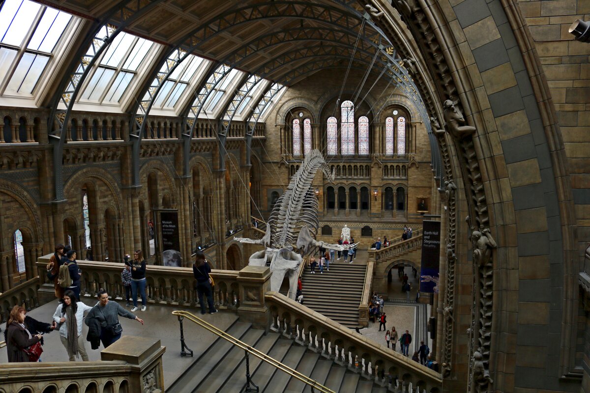 В музее Естествознания - Ольга 