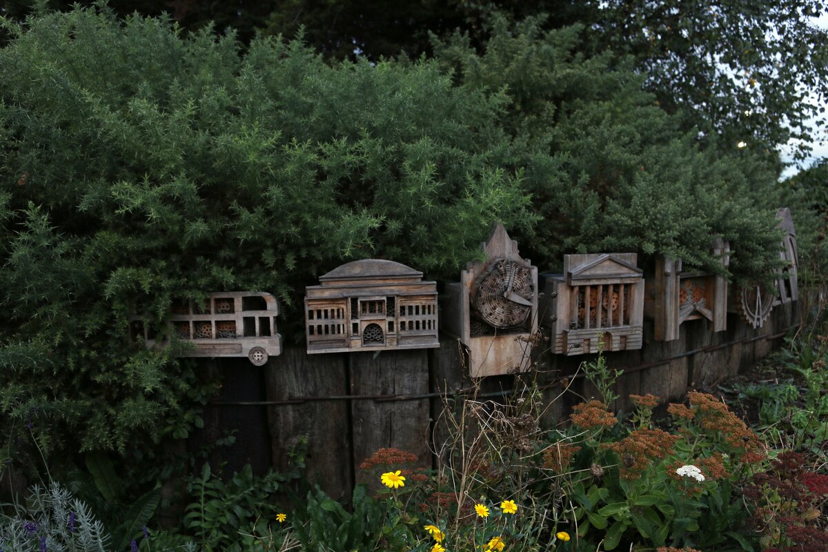 Вечер в парке - Ольга 