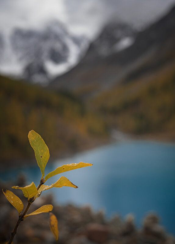 * - Александр Иванов