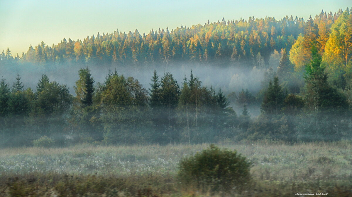 туман..... - Ольга Cоломатина