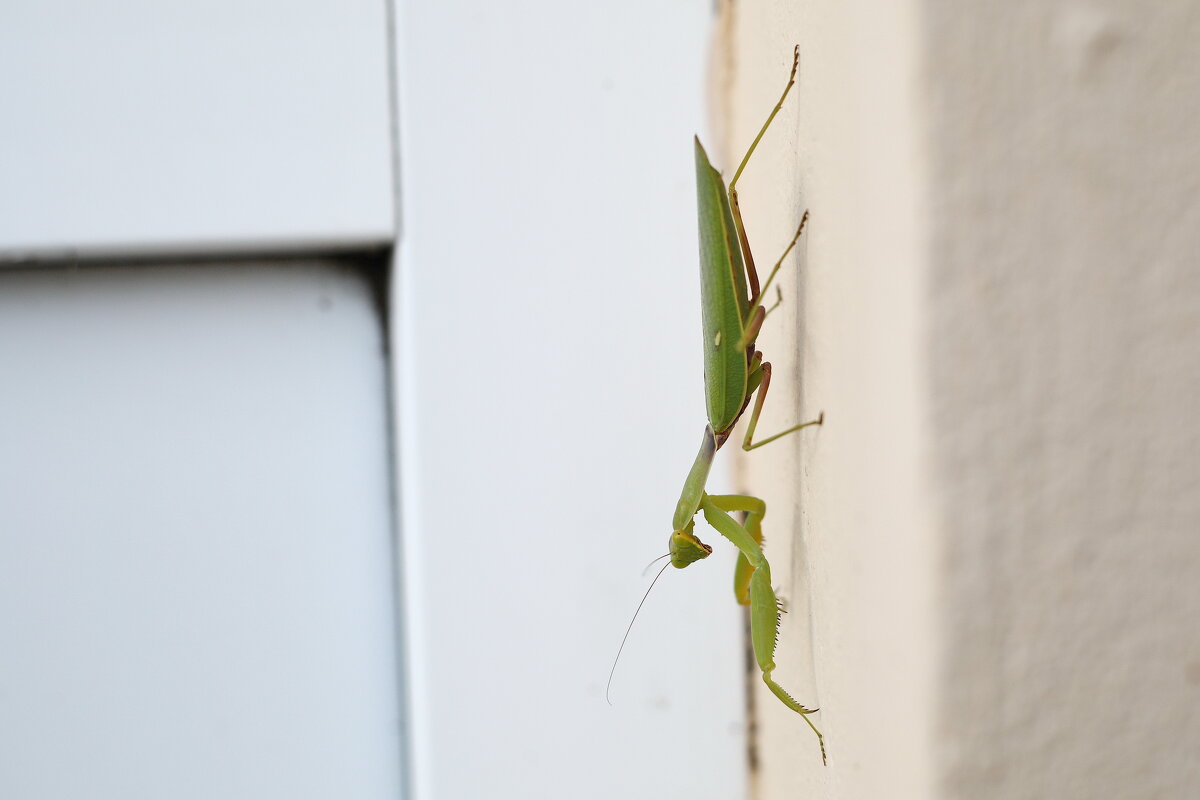 Его взгляд на нанс.. - Сергей 
