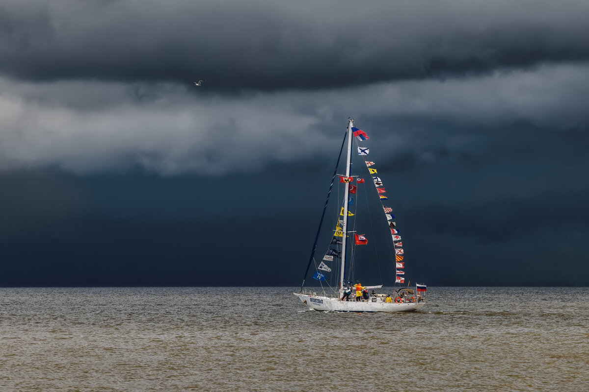 Про Питер - Владимир Колесников