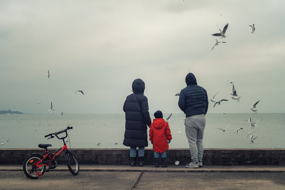 В гостях у чаек. - Анатолий Щербак