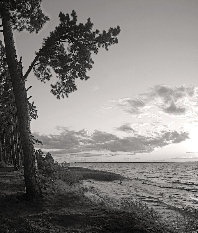 *** - Сергей Григорьев