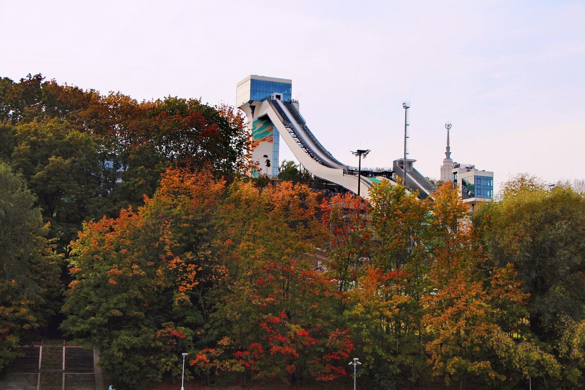 Ждём зиму - Тамара Вебер