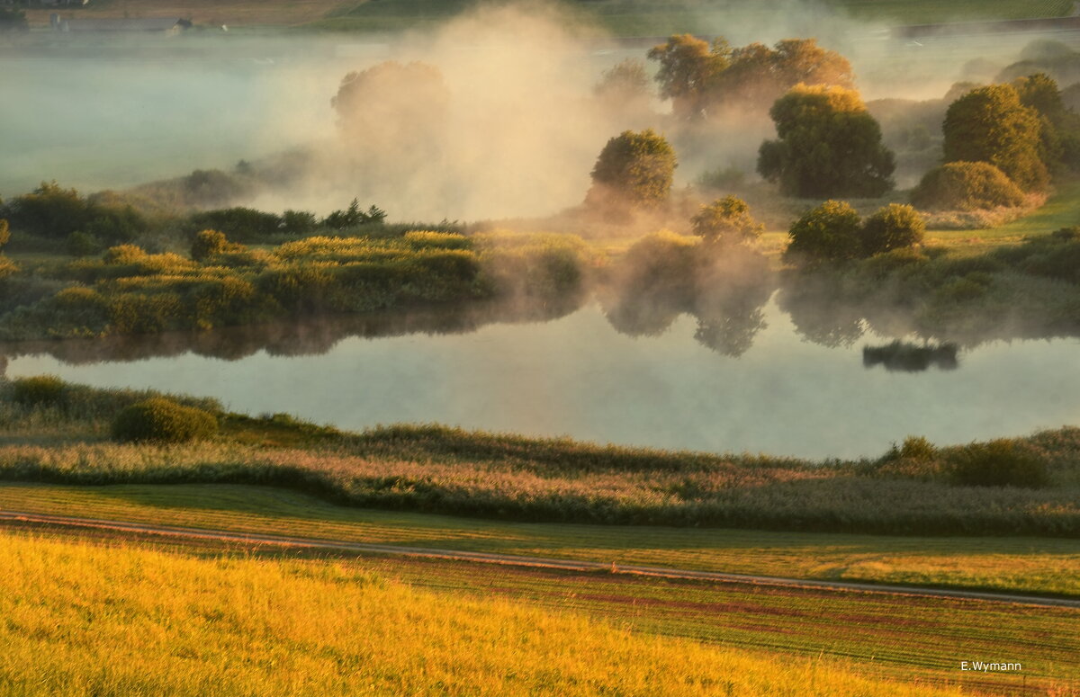 misty morning - Elena Wymann