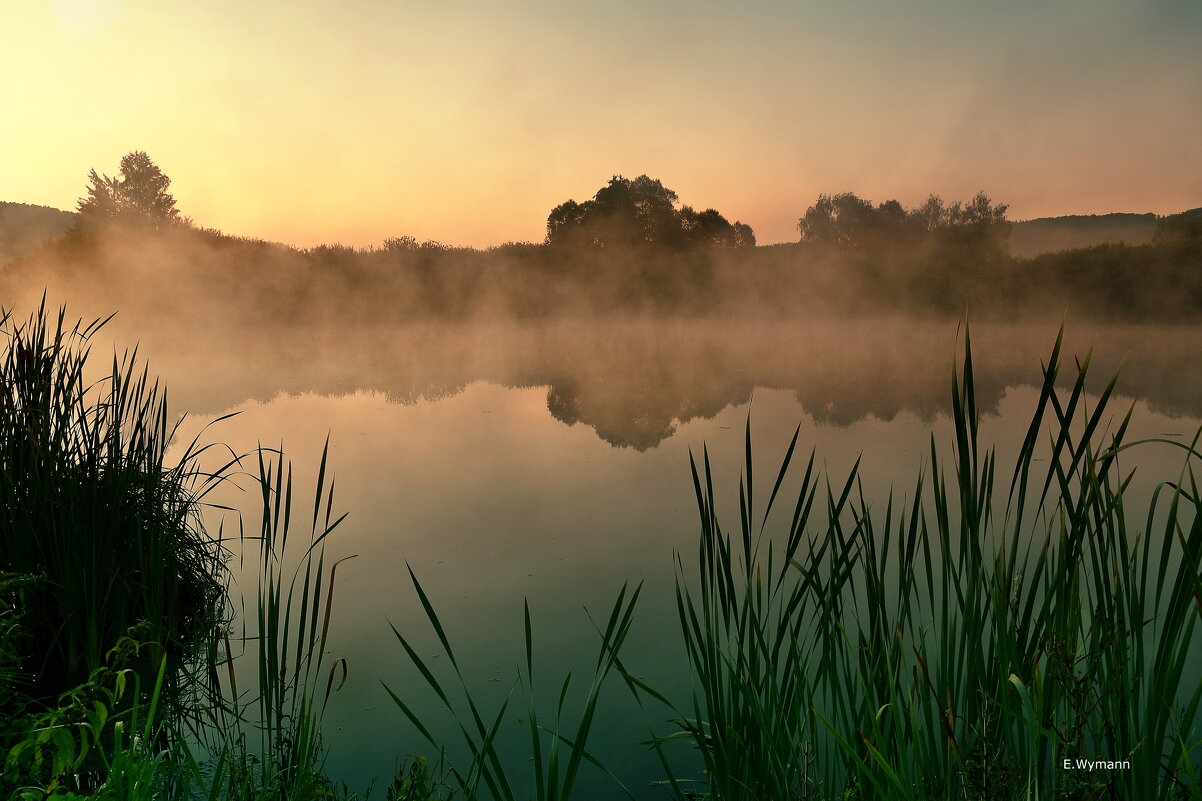 misty morning - Elena Wymann