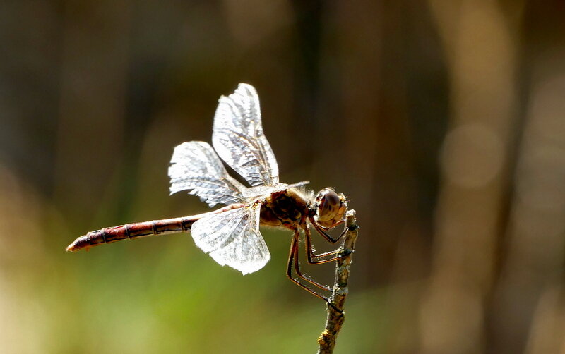 Из сегодняшней съёмки 3 - Александр Прокудин Из сегодняшней съёмки 3 - Александр Прокудин