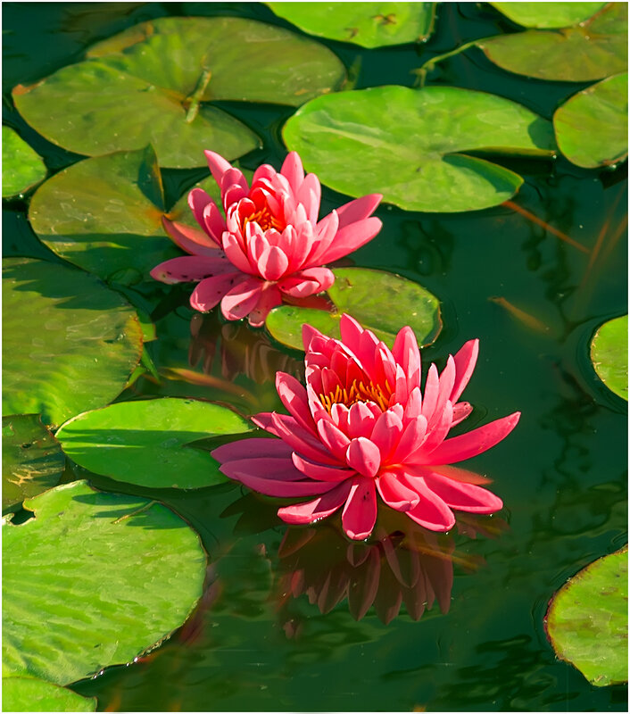 Гармония - Валентин Котляров