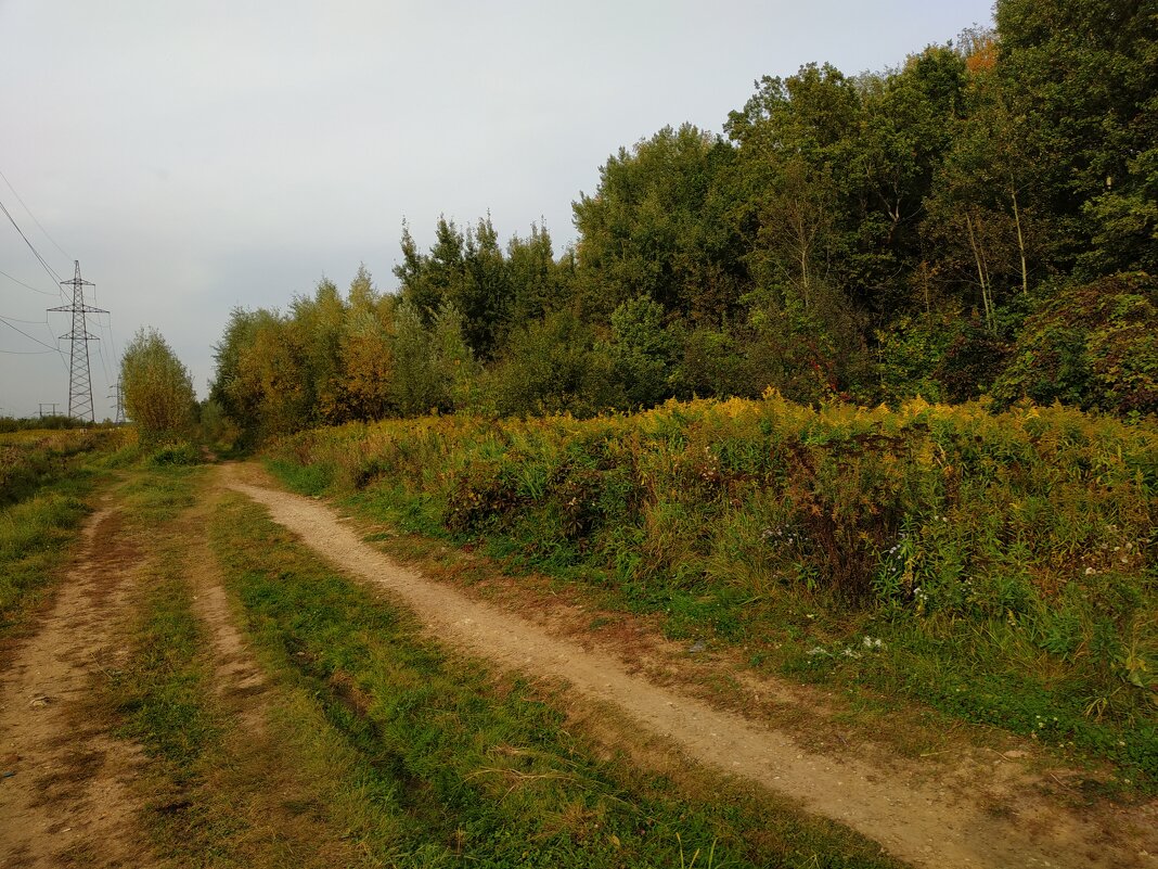 Место, в котором всегда 1 мая - Андрей Лукьянов Место, в котором всегда 1 мая - Андрей Лукьянов