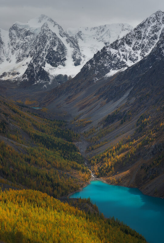 * - Александр Иванов