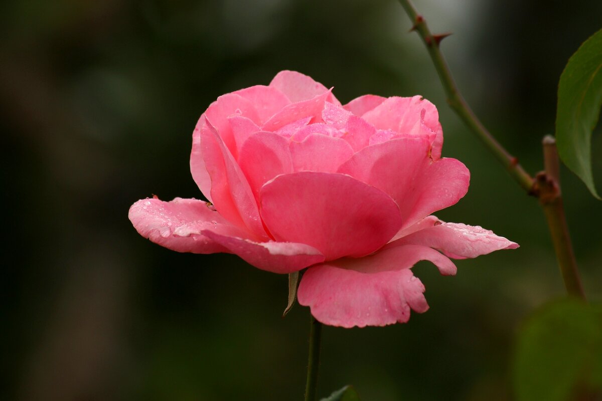 В хмурый день - Юрий. Шмаков